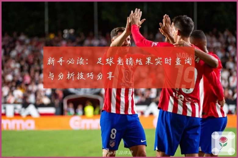 新手必读：足球竞猜结果实时查询与分析技巧分享